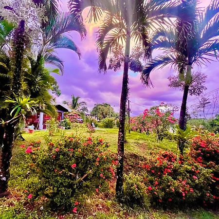 Hotel Tierra De Volcanes La Fortuna Εξωτερικό φωτογραφία