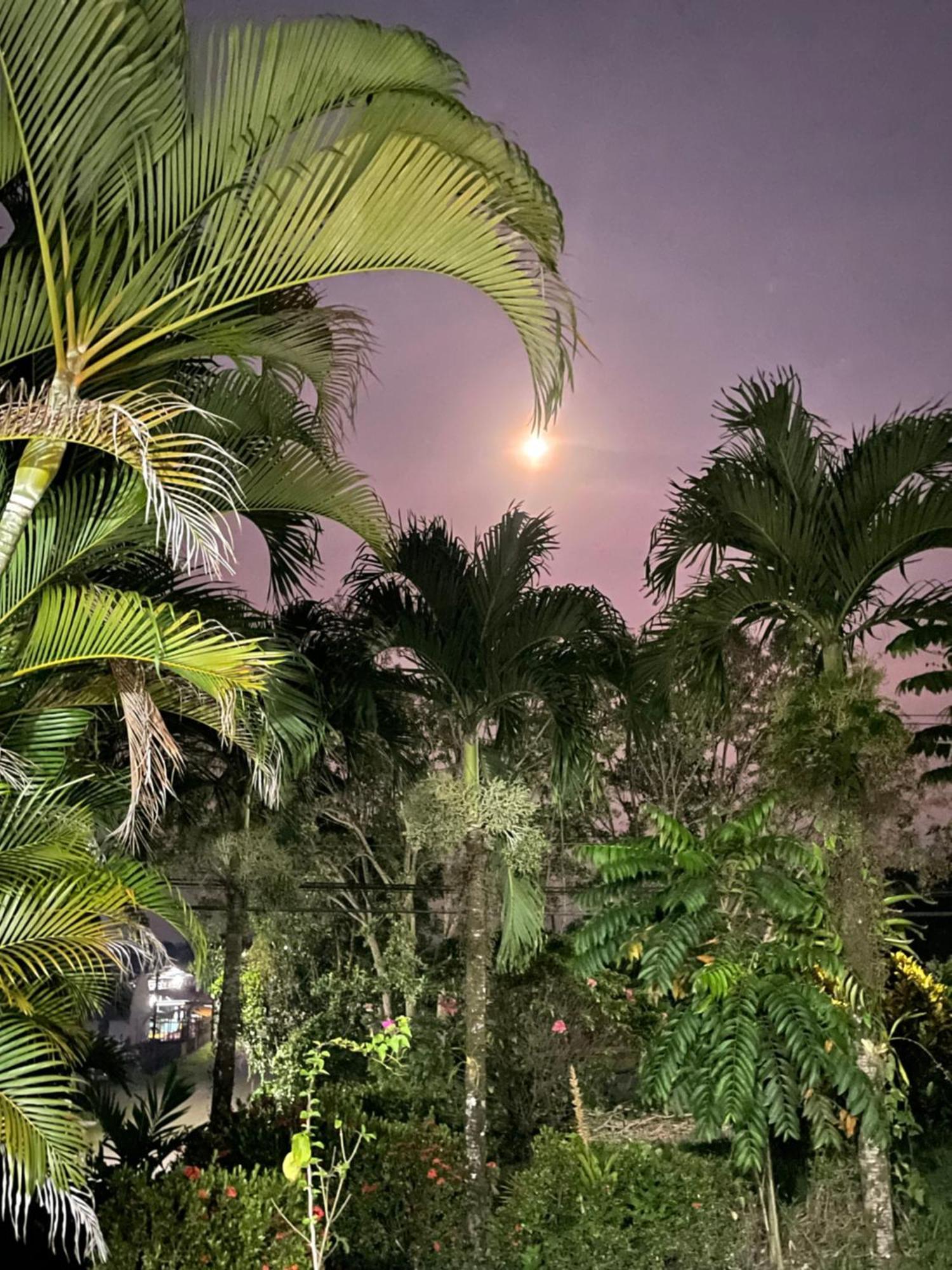 Hotel Tierra De Volcanes La Fortuna Εξωτερικό φωτογραφία
