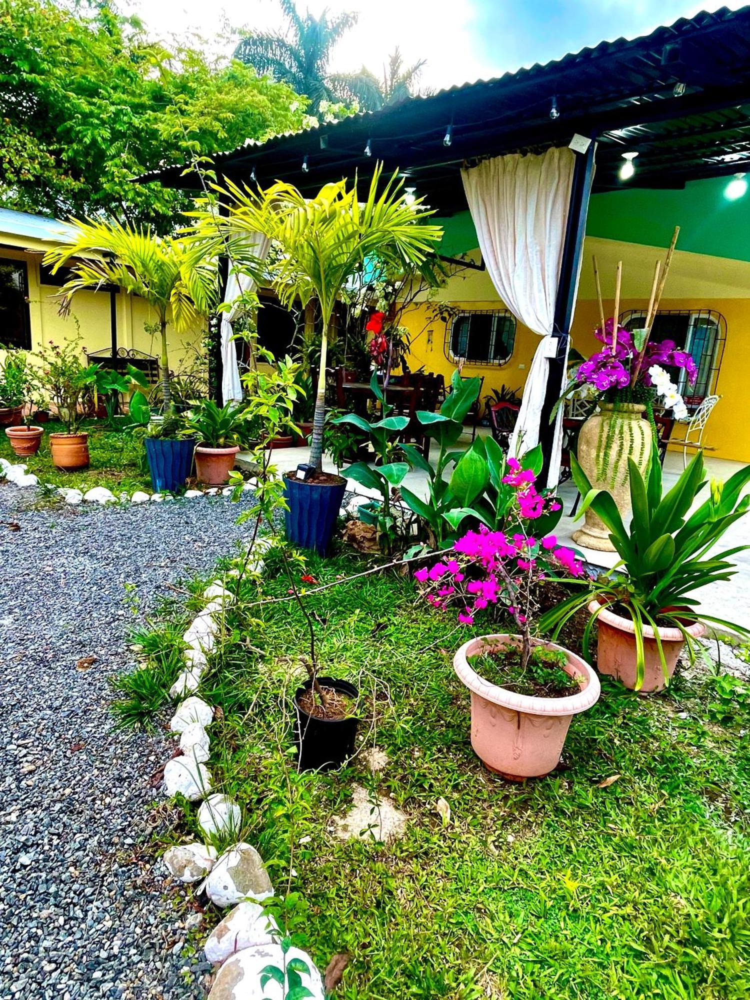 Hotel Tierra De Volcanes La Fortuna Εξωτερικό φωτογραφία