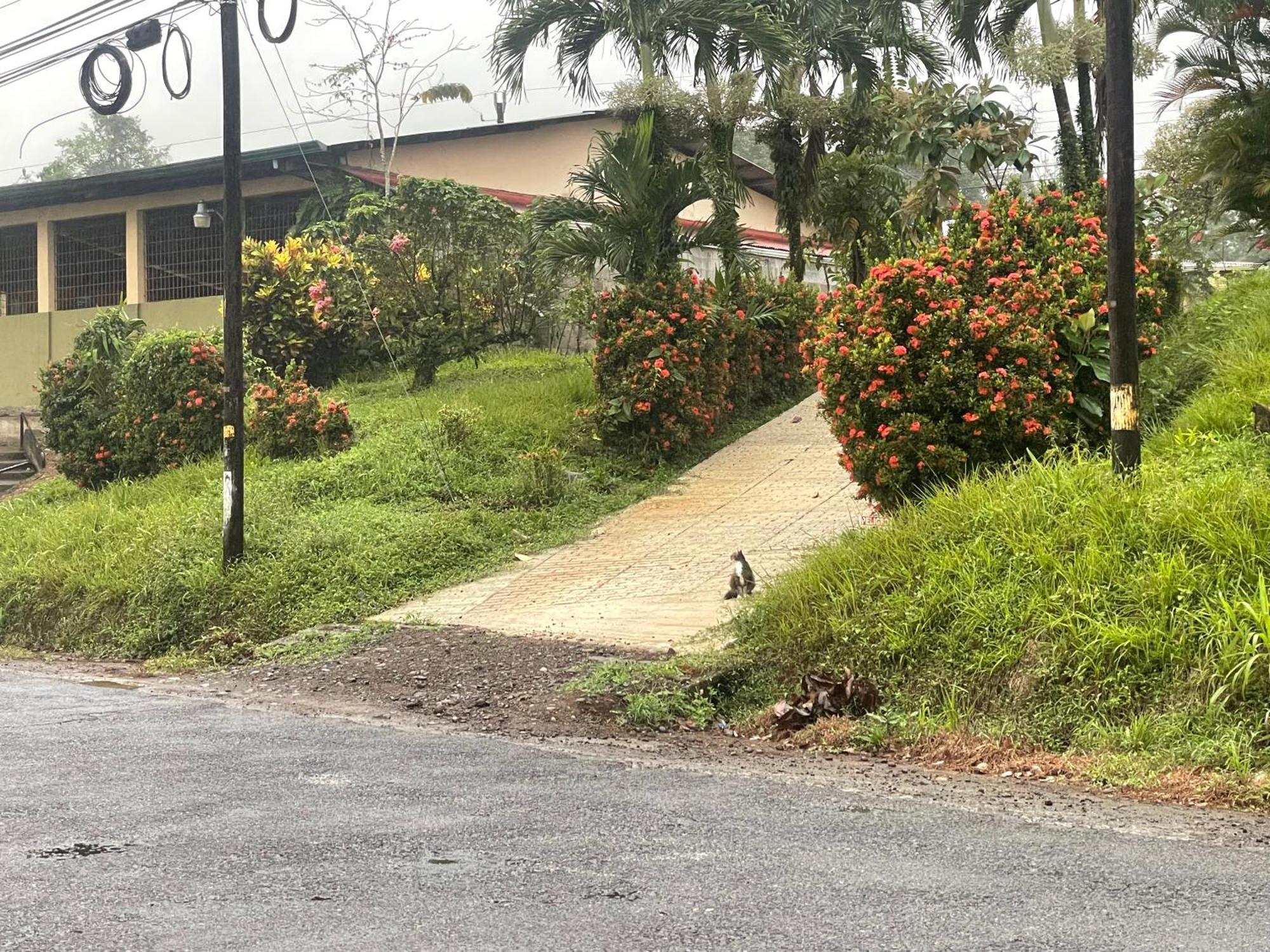 Hotel Tierra De Volcanes La Fortuna Εξωτερικό φωτογραφία