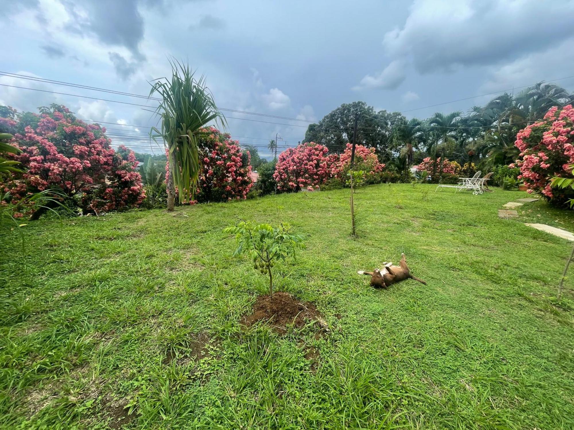 Hotel Tierra De Volcanes La Fortuna Εξωτερικό φωτογραφία